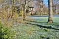 Fruehling2012   042